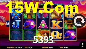 Premium Interface 5393